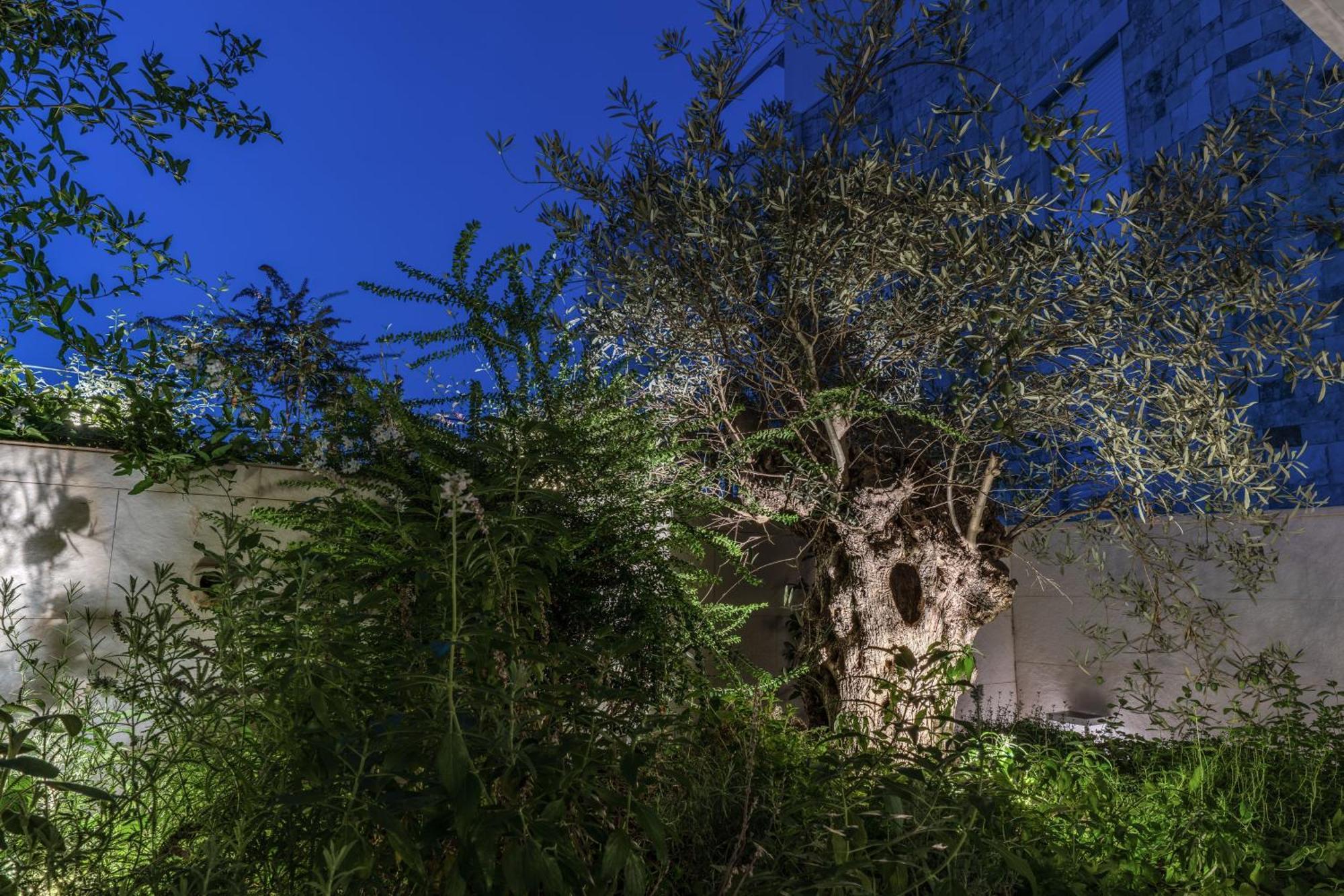Olea Boutique Suites Polignano Polignano a Mare Εξωτερικό φωτογραφία